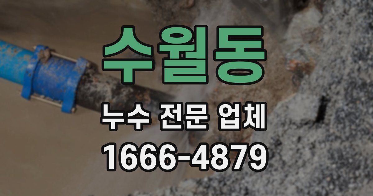수월동 누수 전문 업체