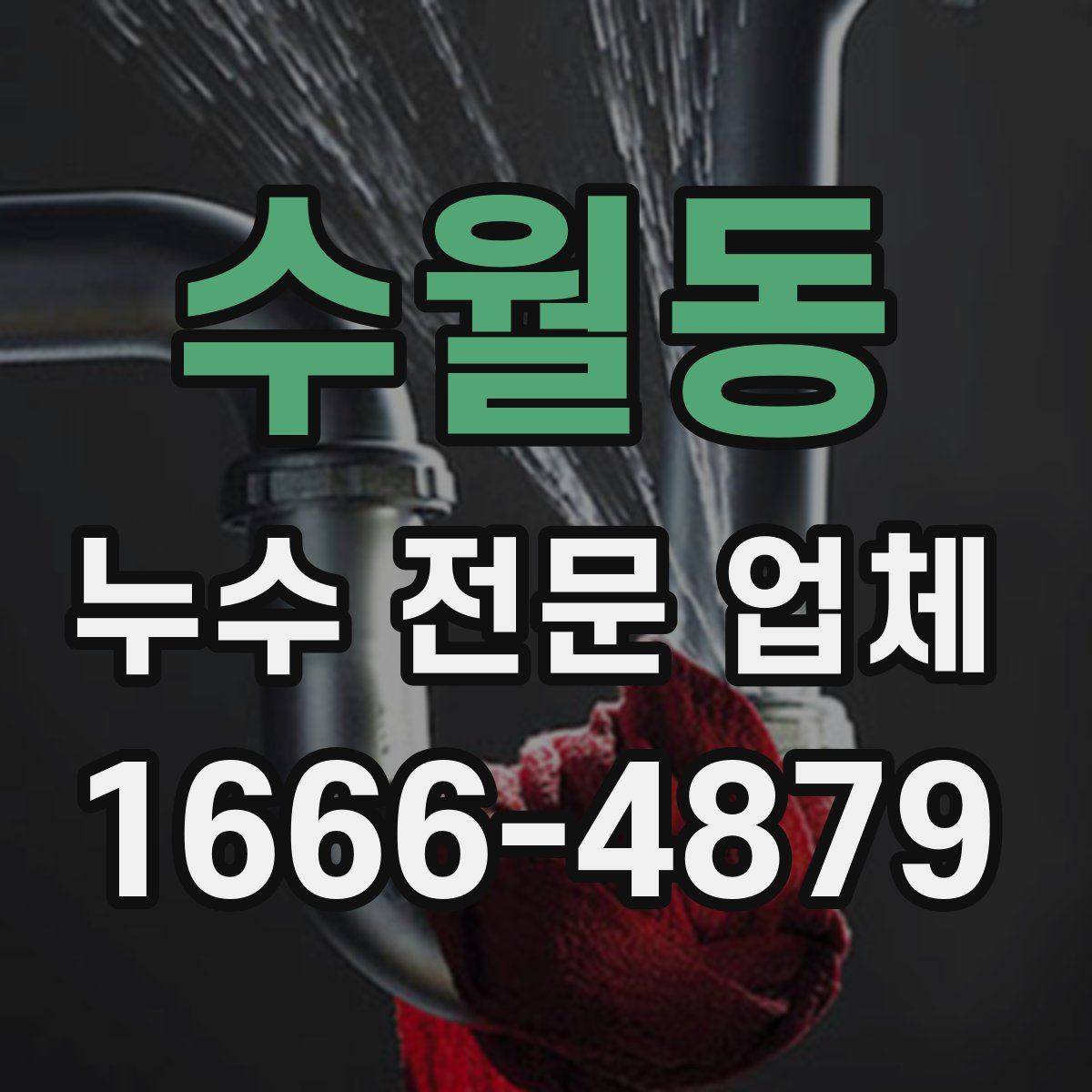수월동 누수 전문 업체