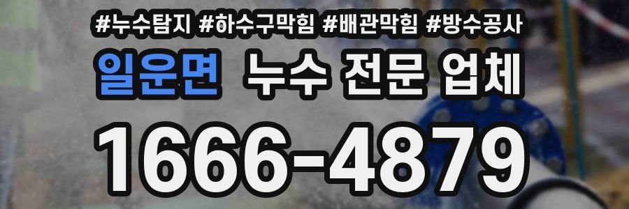 일운면 누수 전문 업체