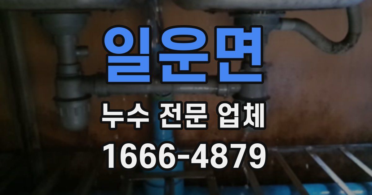 일운면 누수 전문 업체