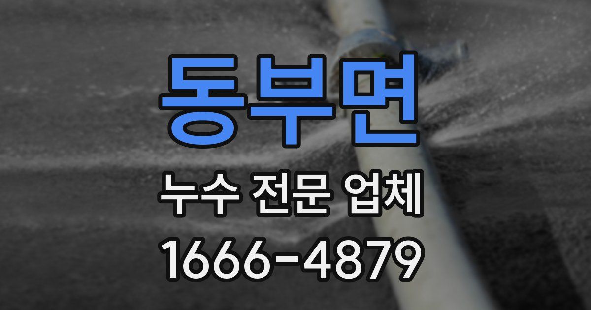 동부면 누수 전문 업체