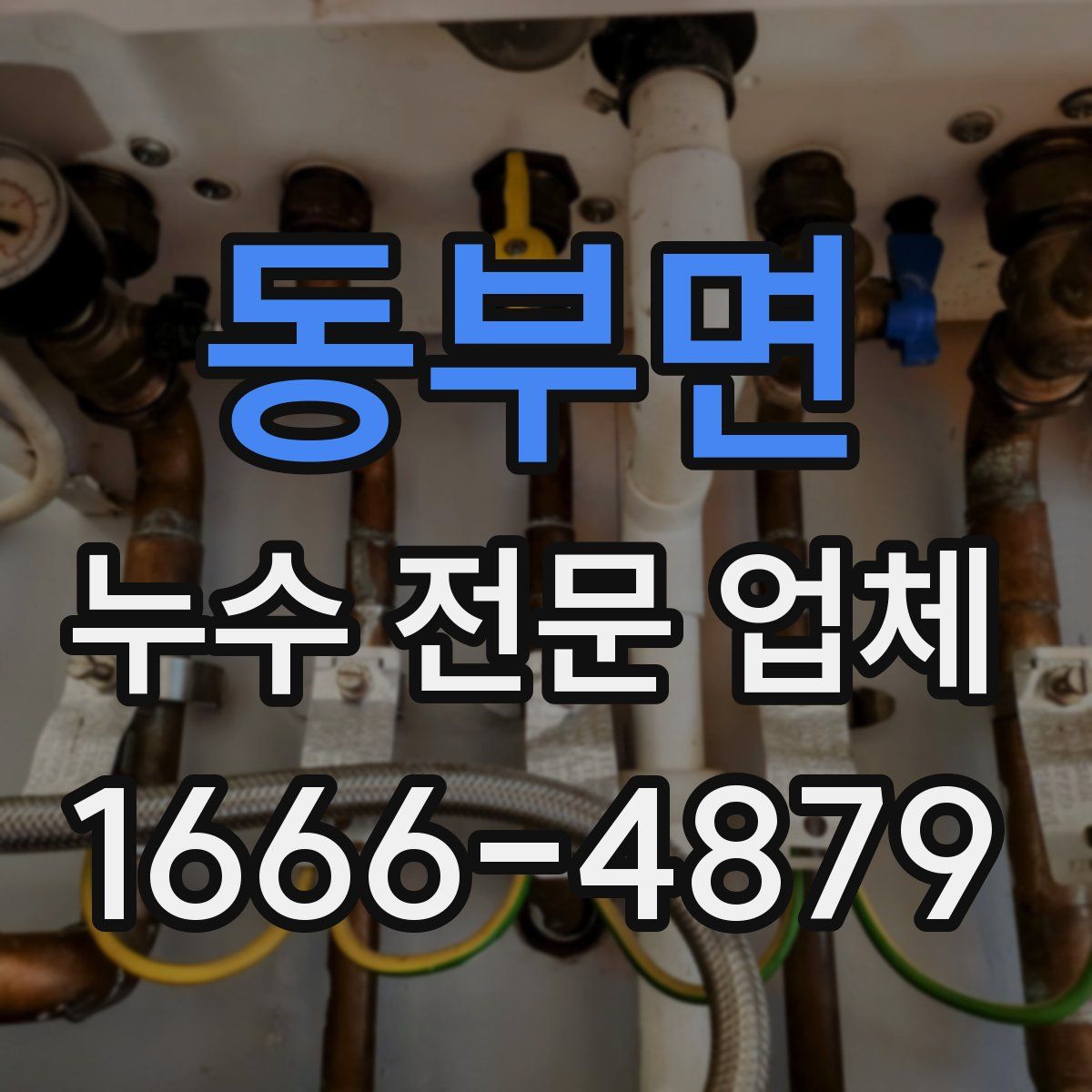 동부면 누수 전문 업체