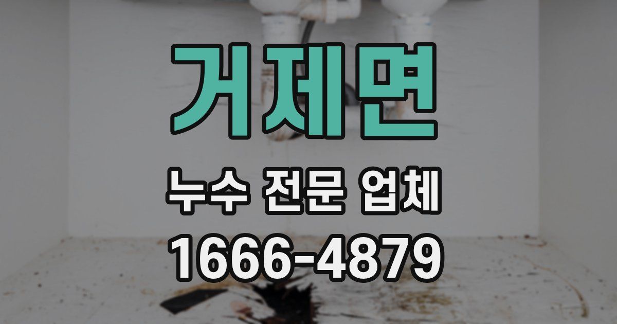 거제면 누수 전문 업체