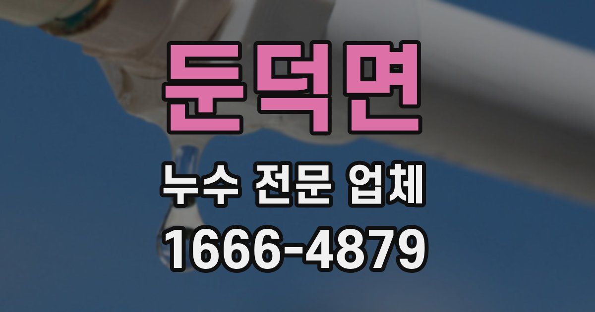 둔덕면 누수 전문 업체
