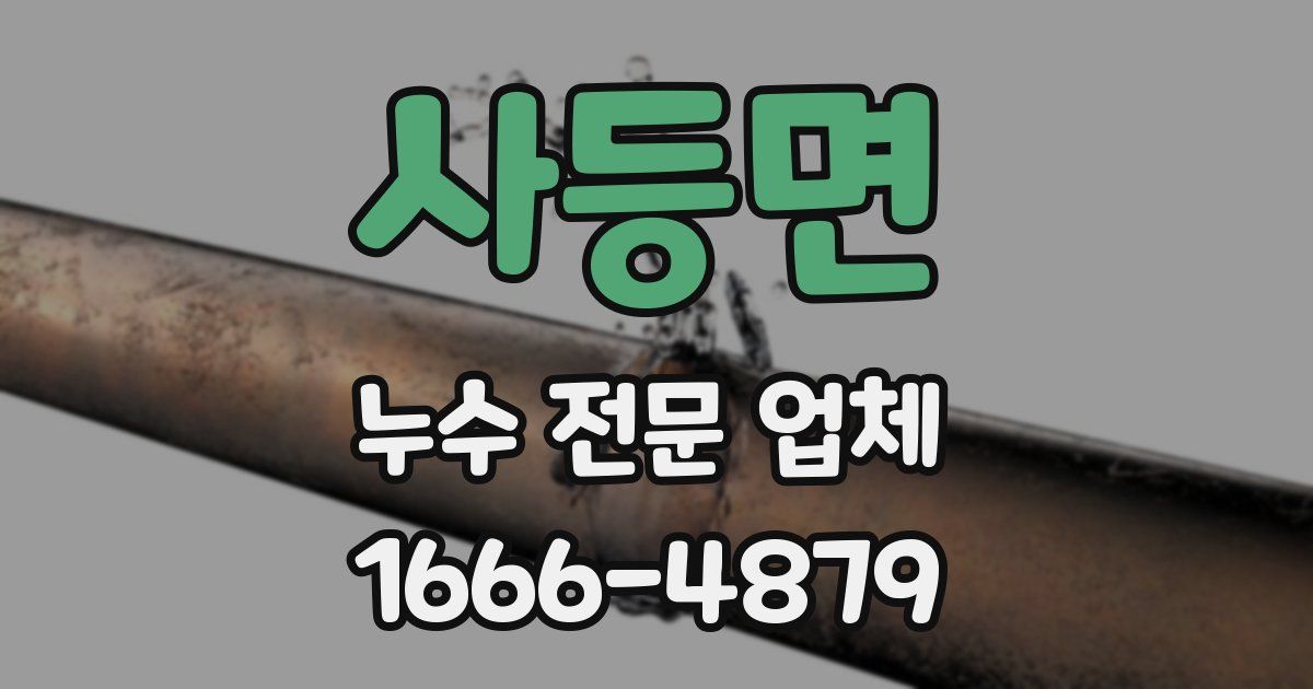 사등면 누수 전문 업체