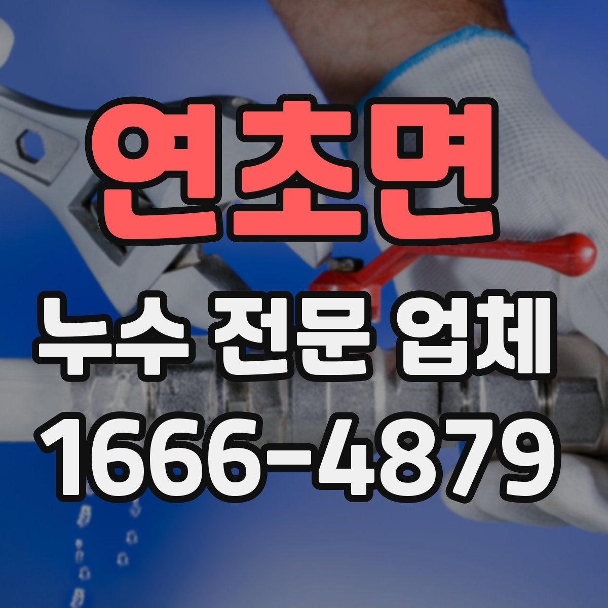 연초면 누수 전문 업체