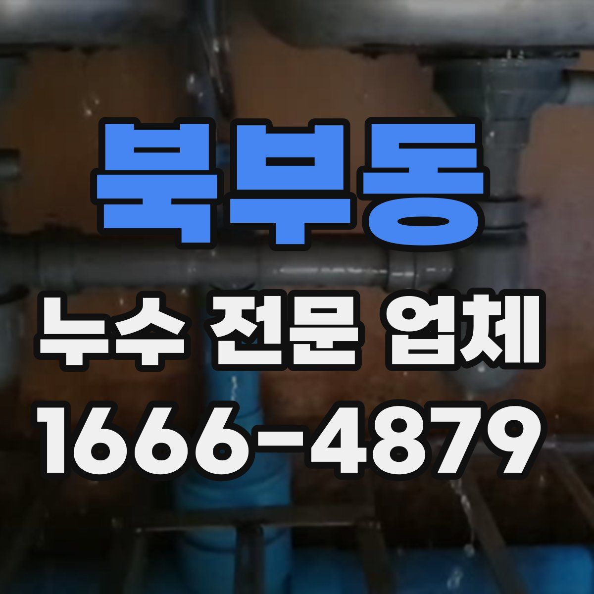 북부동 누수 전문 업체