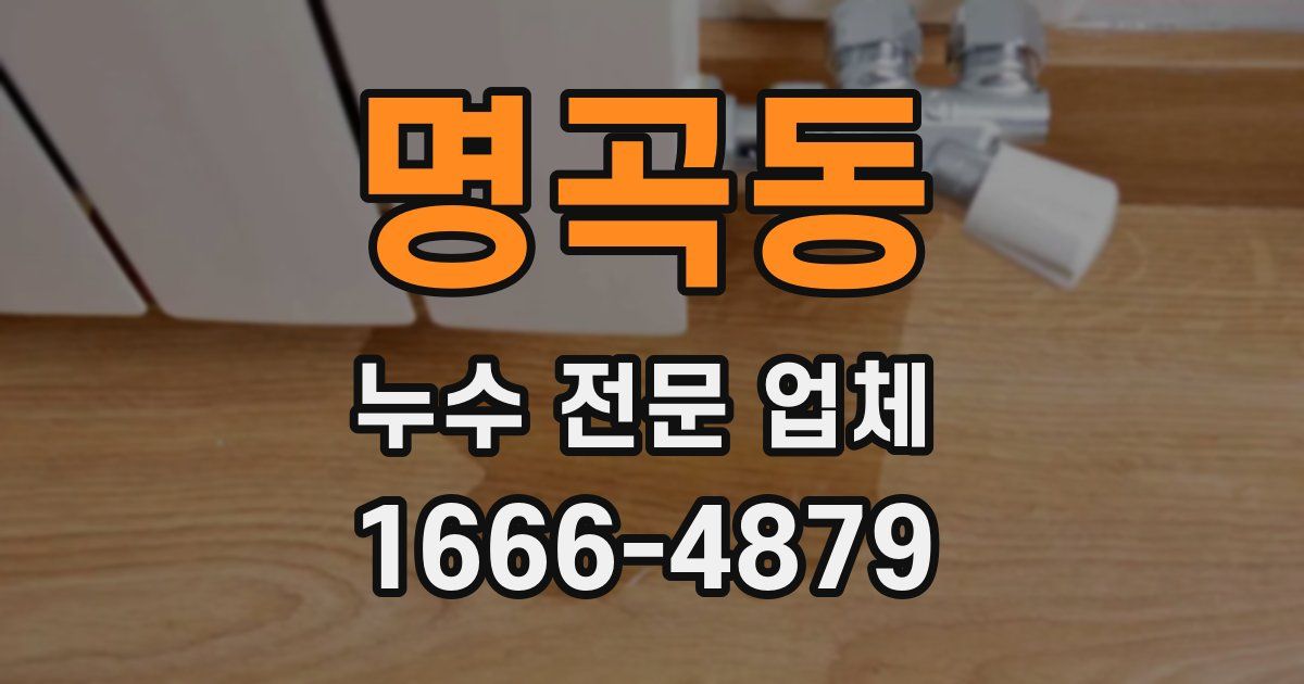 명곡동 누수 전문 업체