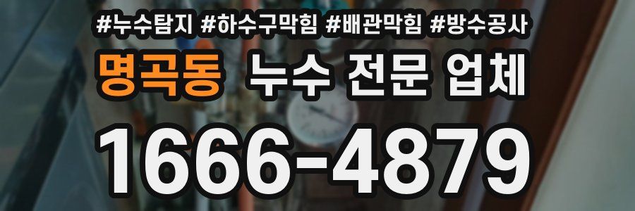 명곡동 누수 전문 업체