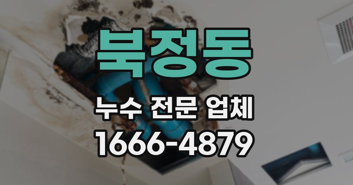 북정동 누수 전문 업체