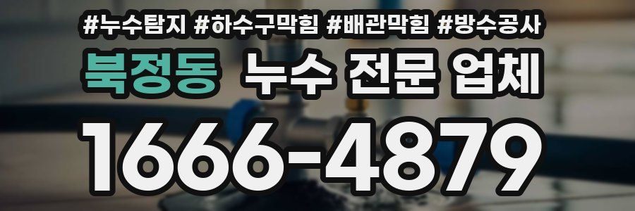 북정동 누수 전문 업체