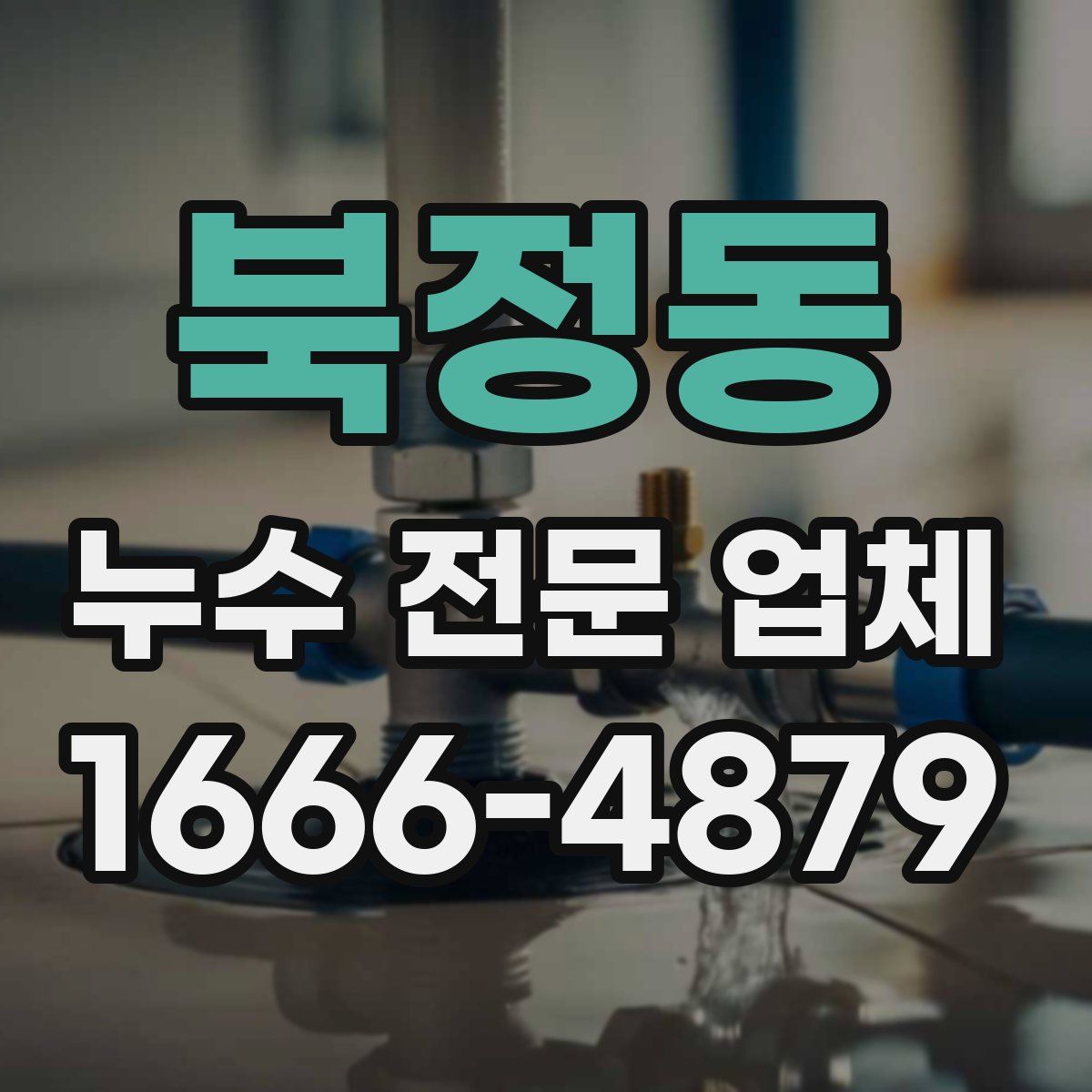 북정동 누수 전문 업체