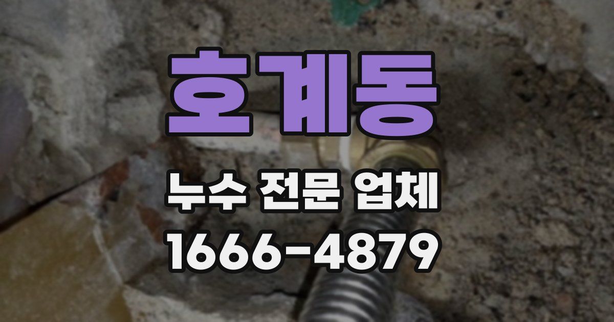 호계동 누수 전문 업체
