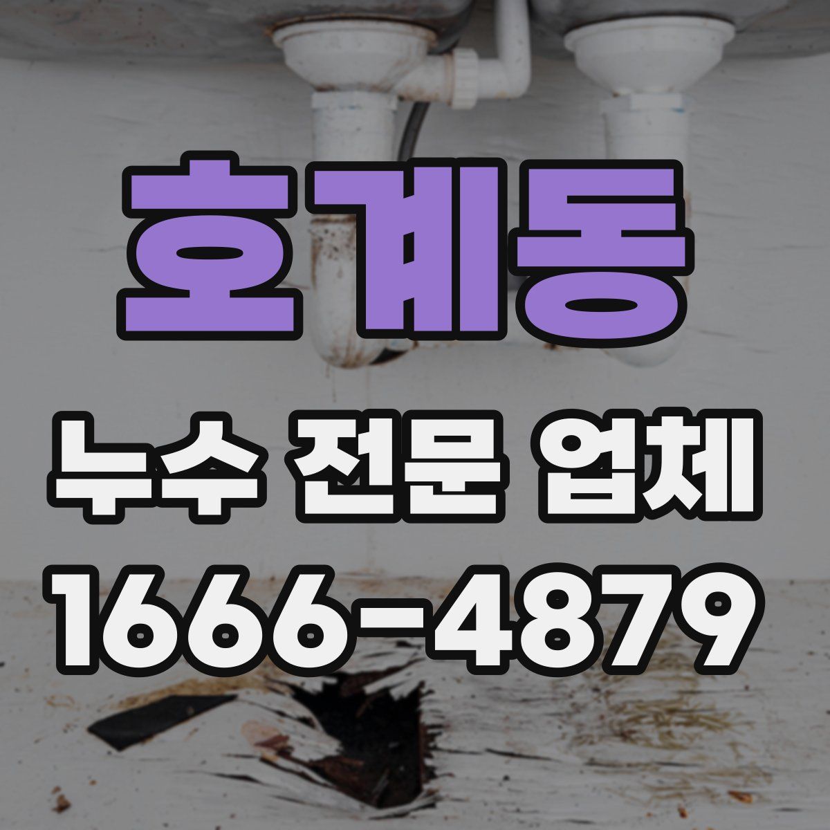 호계동 누수 전문 업체