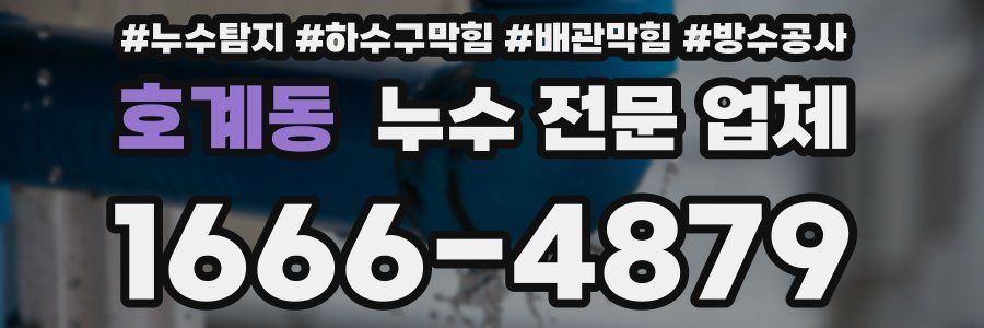 호계동 누수 전문 업체