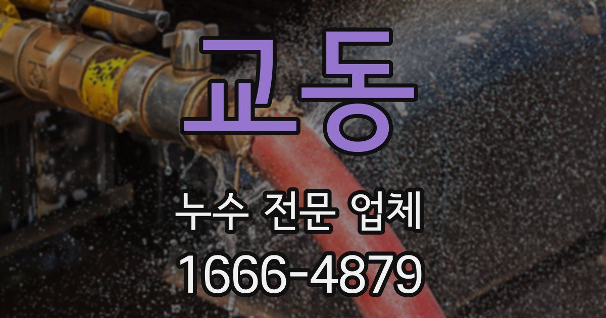 교동 누수 전문 업체