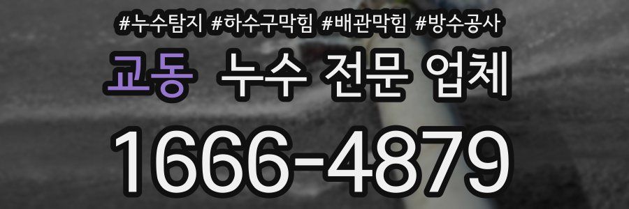 교동 누수 전문 업체