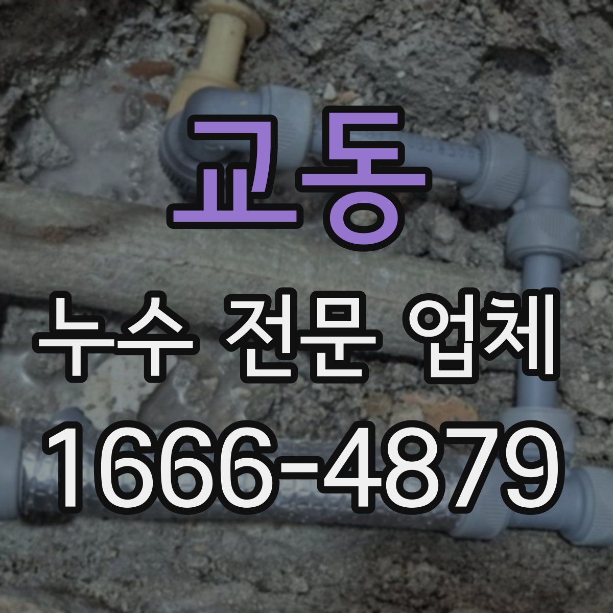 교동 누수 전문 업체