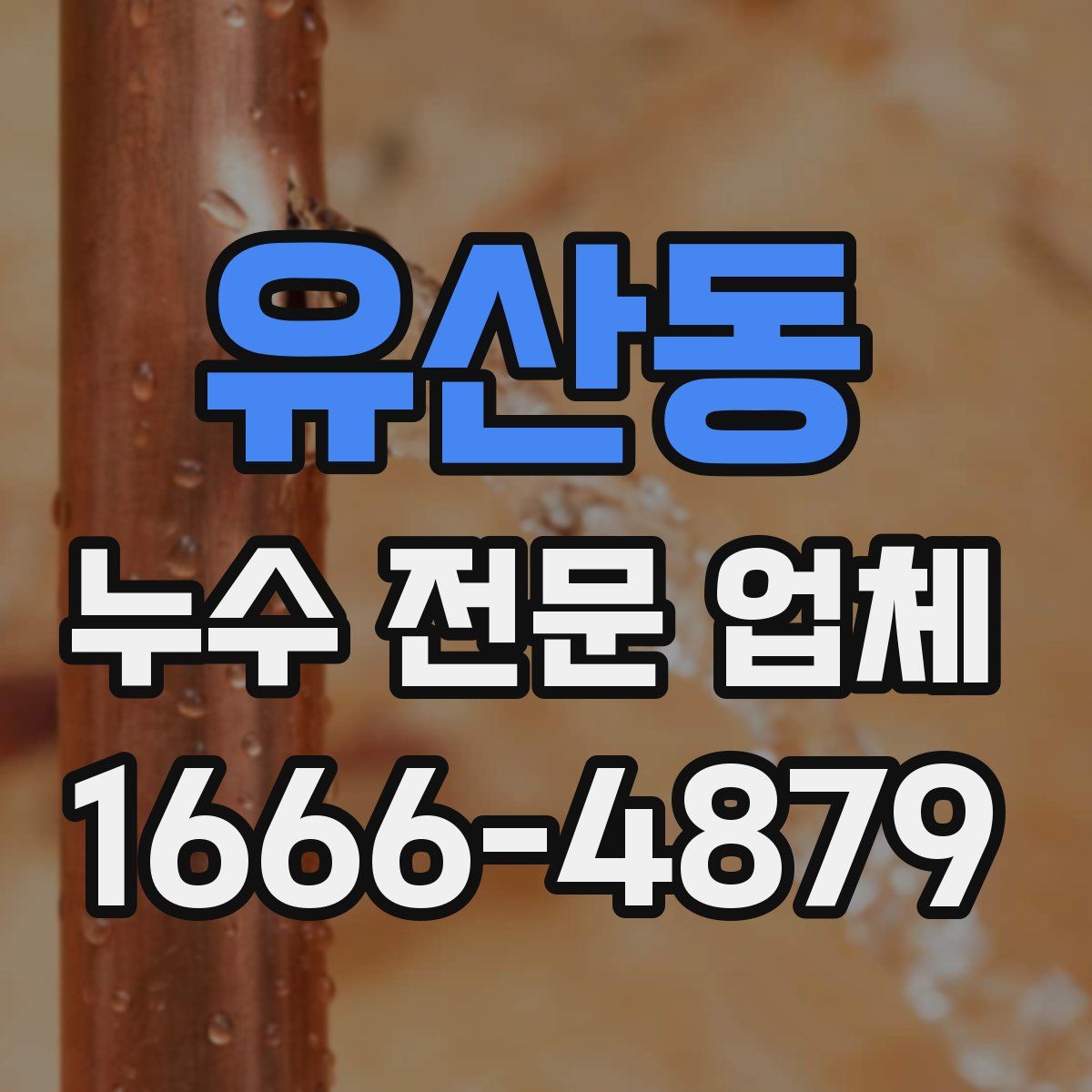 유산동 누수 전문 업체