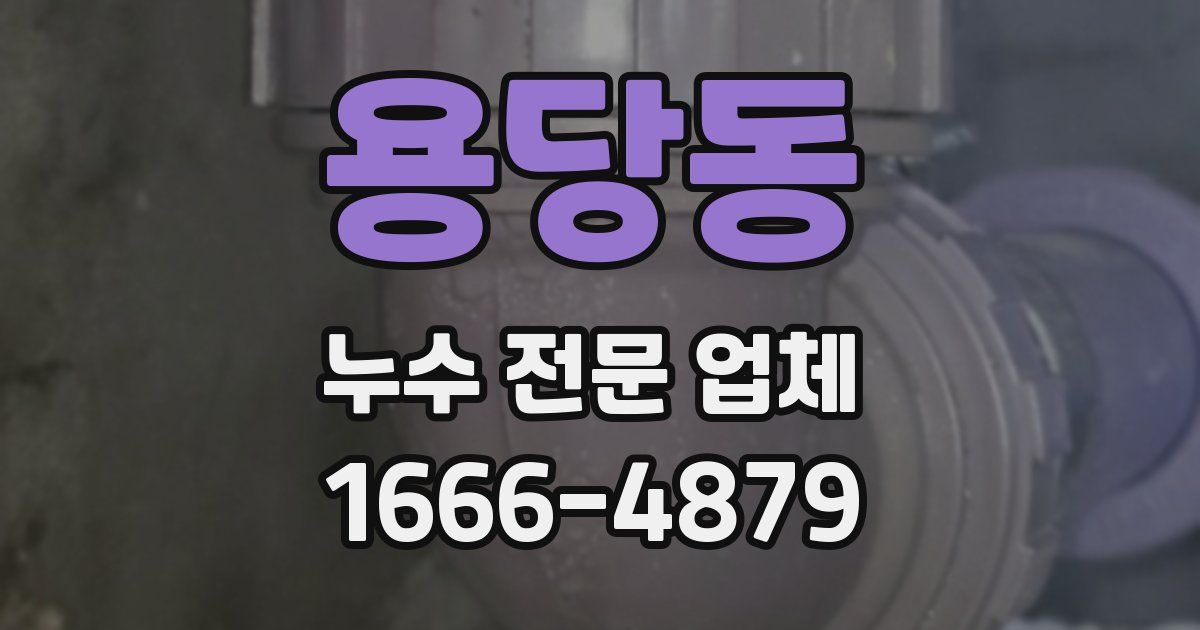 용당동 누수 전문 업체