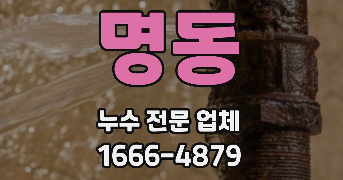 명동 누수 전문 업체