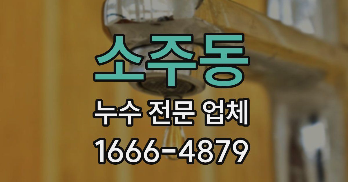 소주동 누수 전문 업체