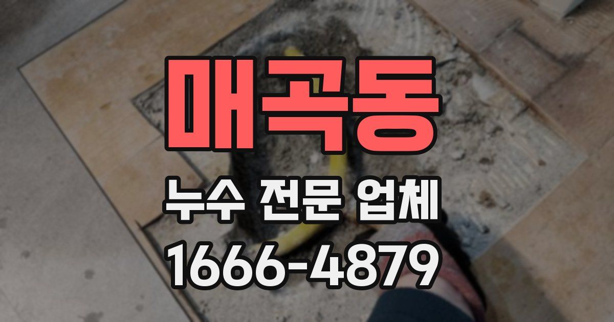 매곡동 누수 전문 업체