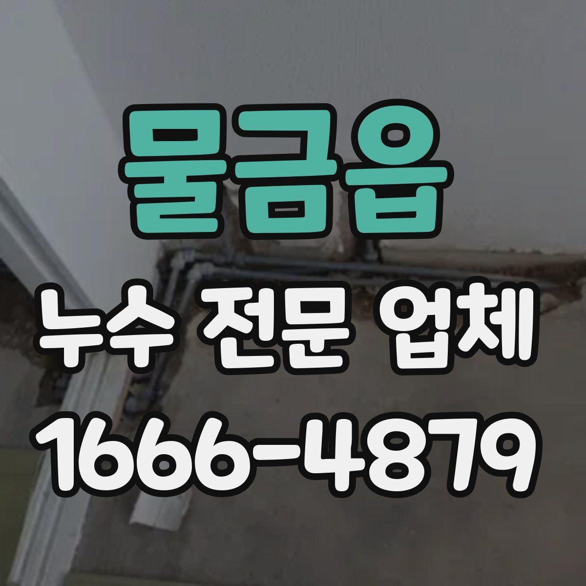 물금읍 누수 전문 업체