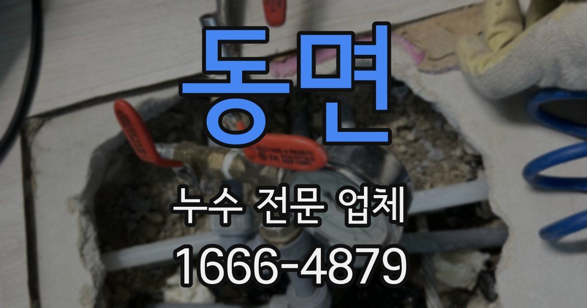 동면 누수 전문 업체