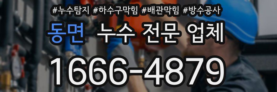 동면 누수 전문 업체