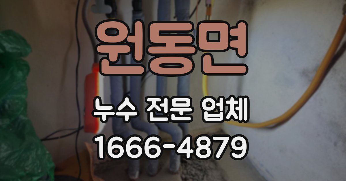 원동면 누수 전문 업체