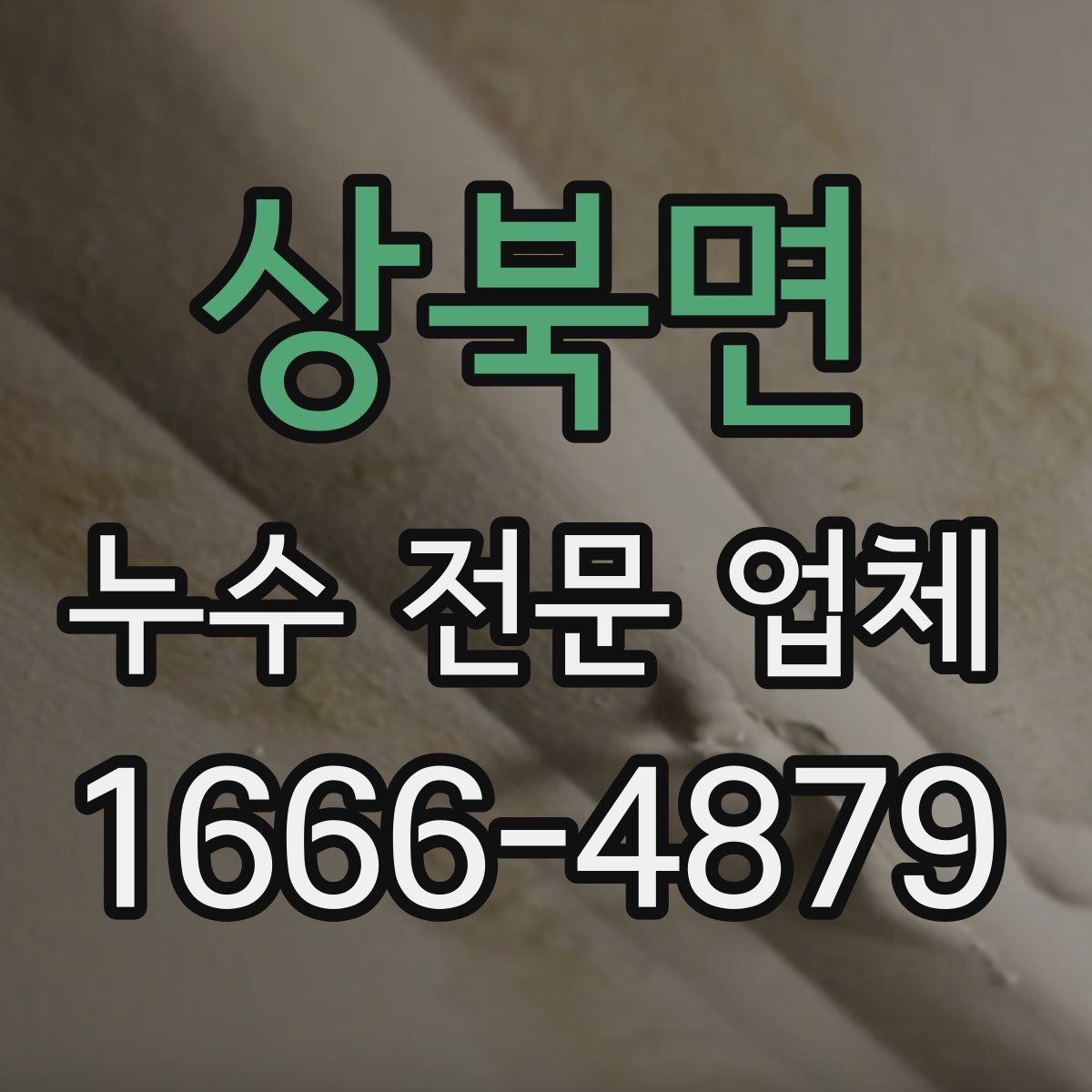 상북면 누수 전문 업체