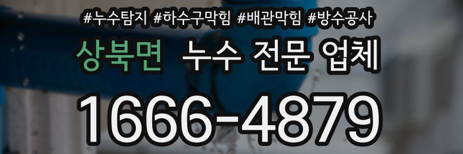 상북면 누수 전문 업체