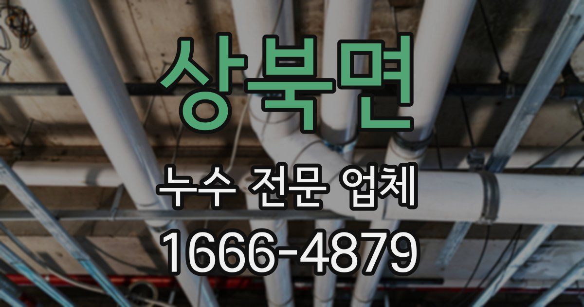 상북면 누수 전문 업체