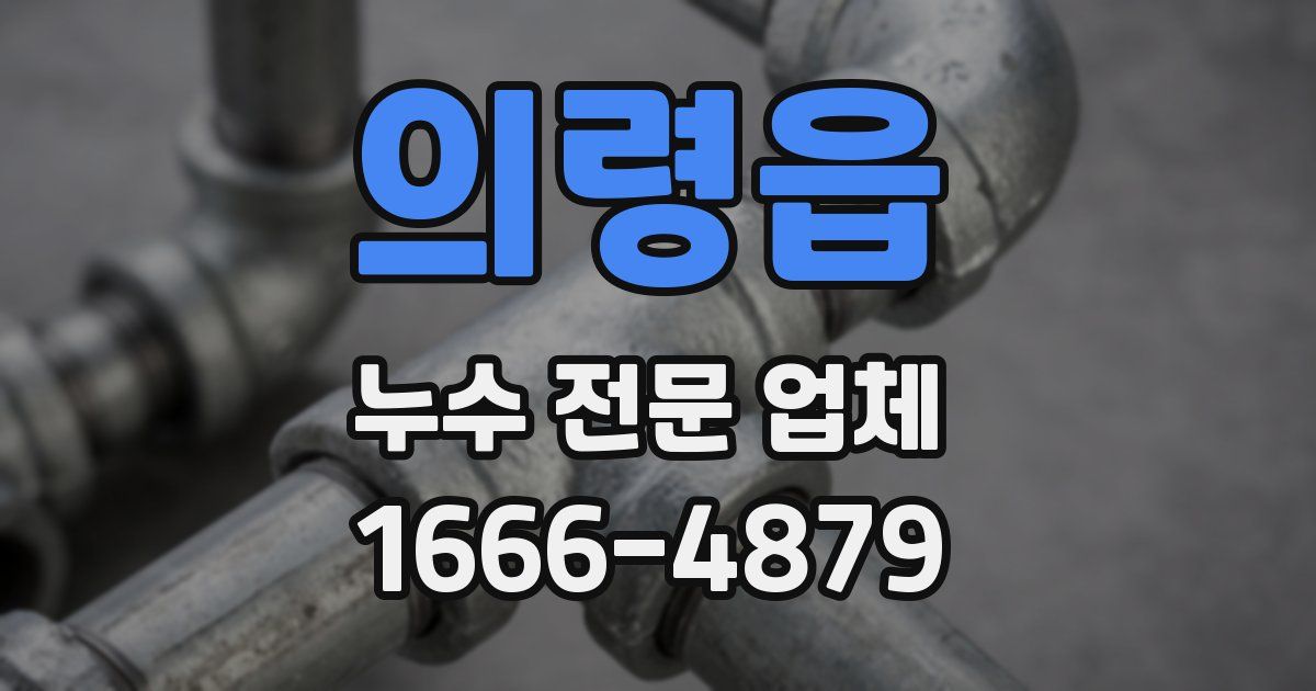 의령읍 누수 전문 업체