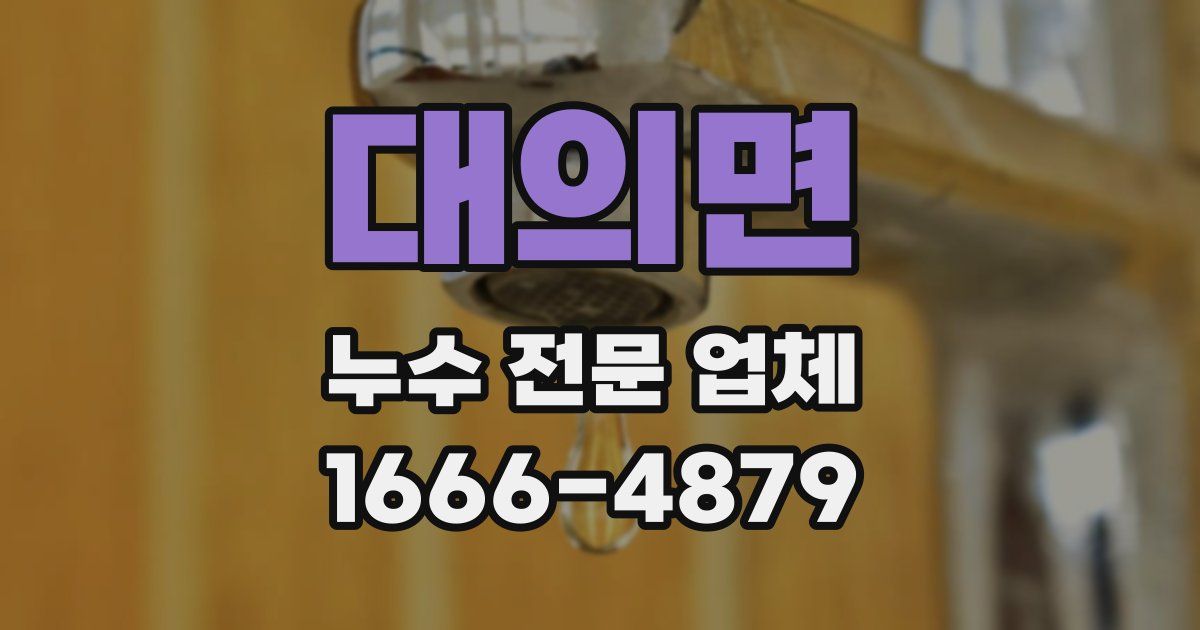 대의면 누수 전문 업체