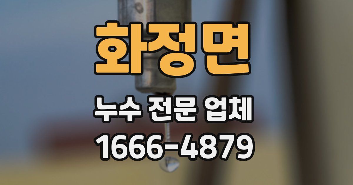 화정면 누수 전문 업체