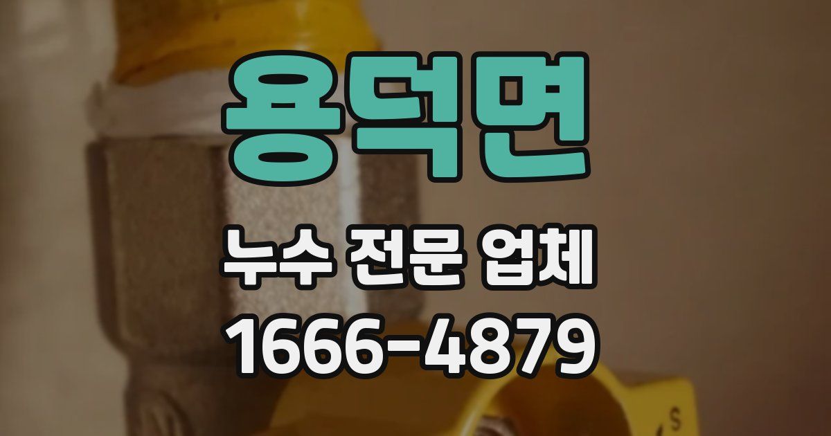 용덕면 누수 전문 업체