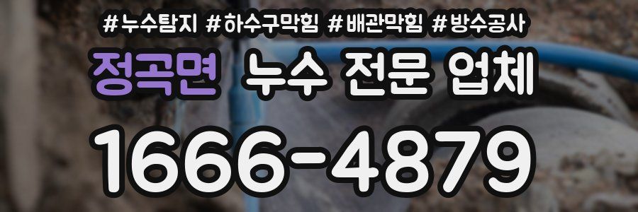 정곡면 누수 전문 업체