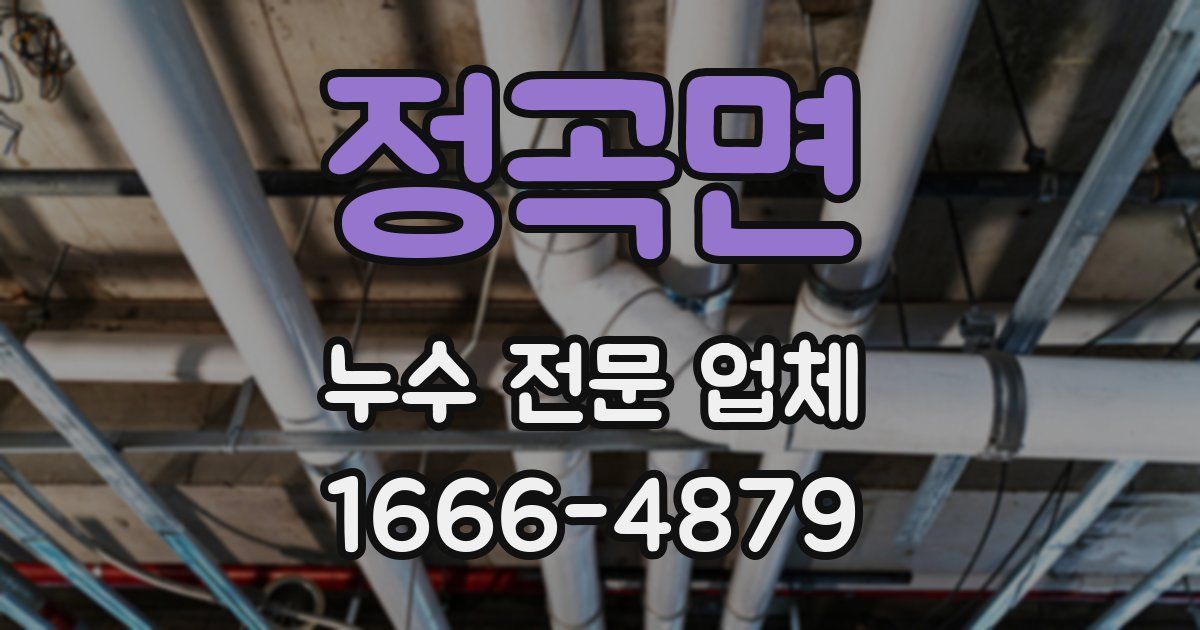 정곡면 누수 전문 업체