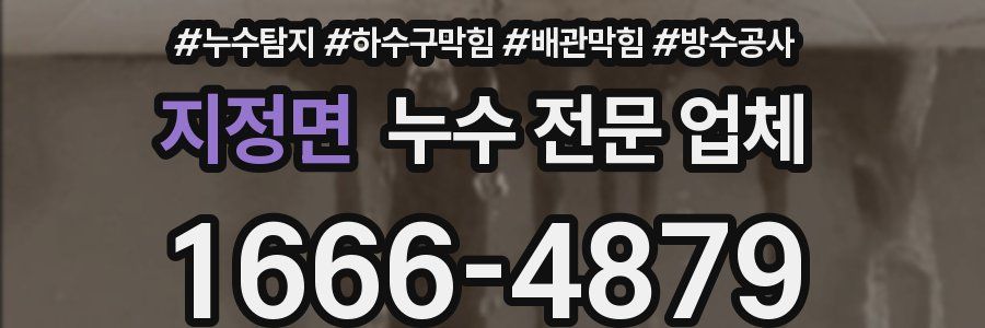 지정면 누수 전문 업체