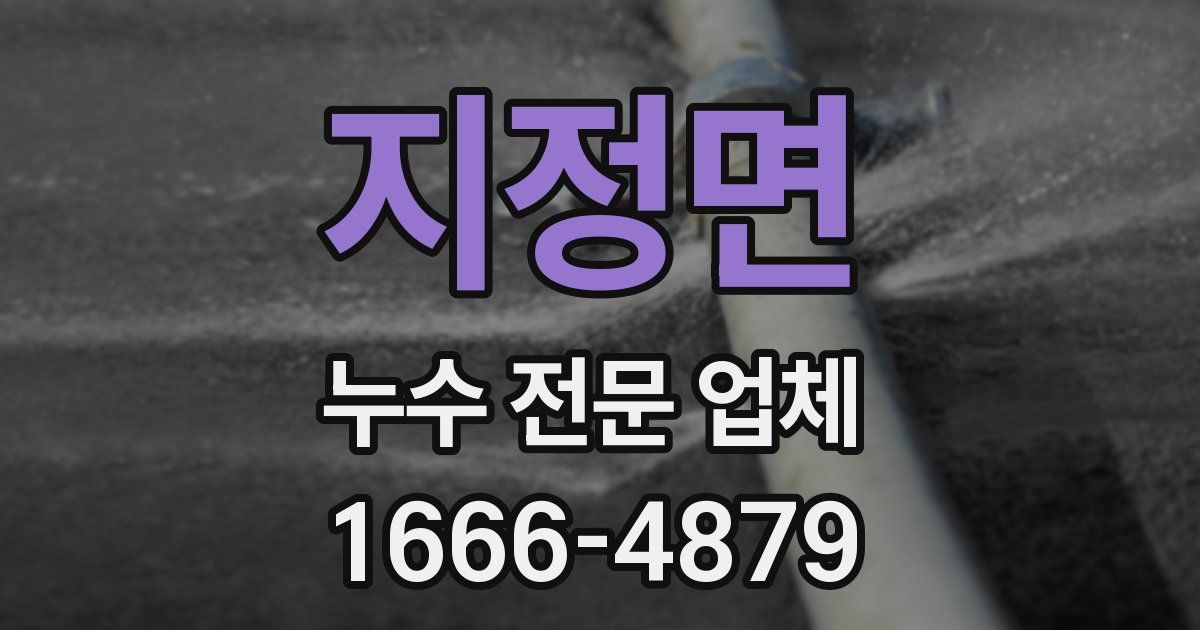 지정면 누수 전문 업체