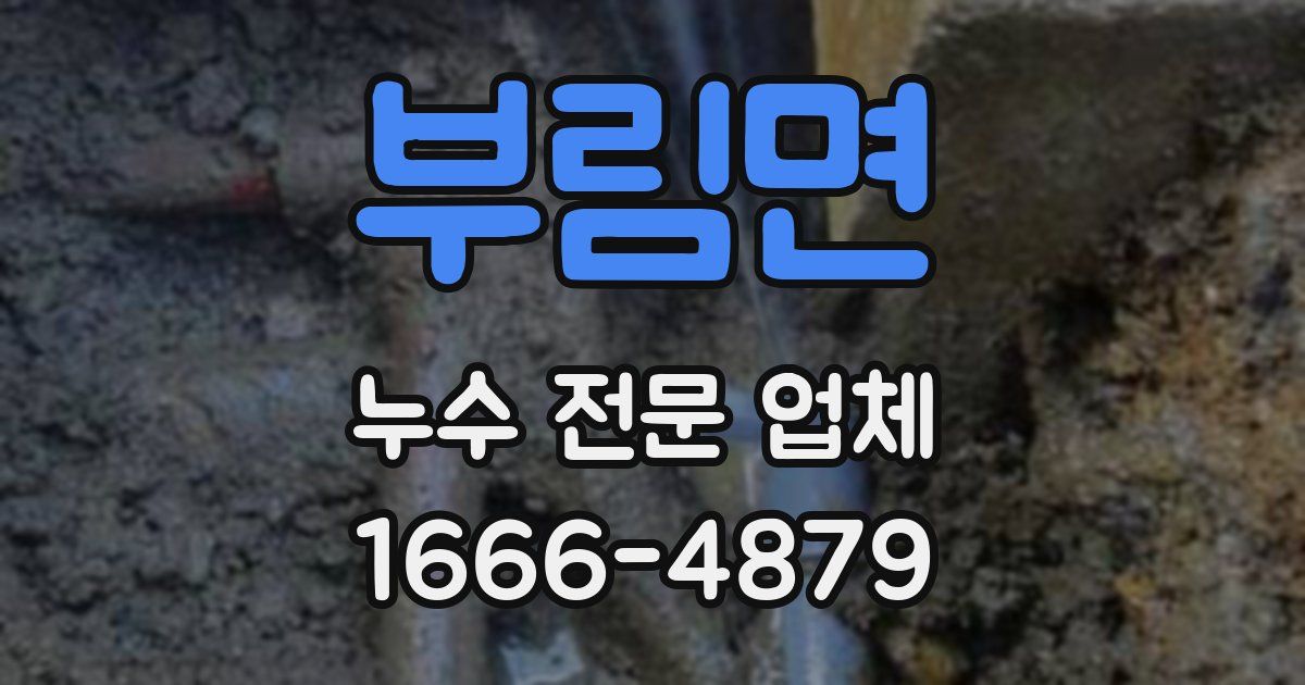 부림면 누수 전문 업체