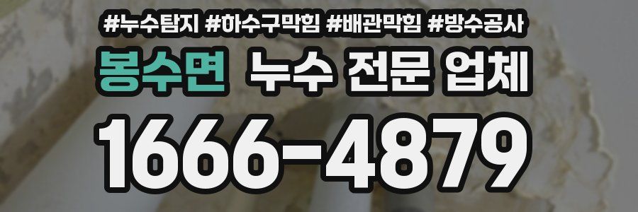 봉수면 누수 전문 업체