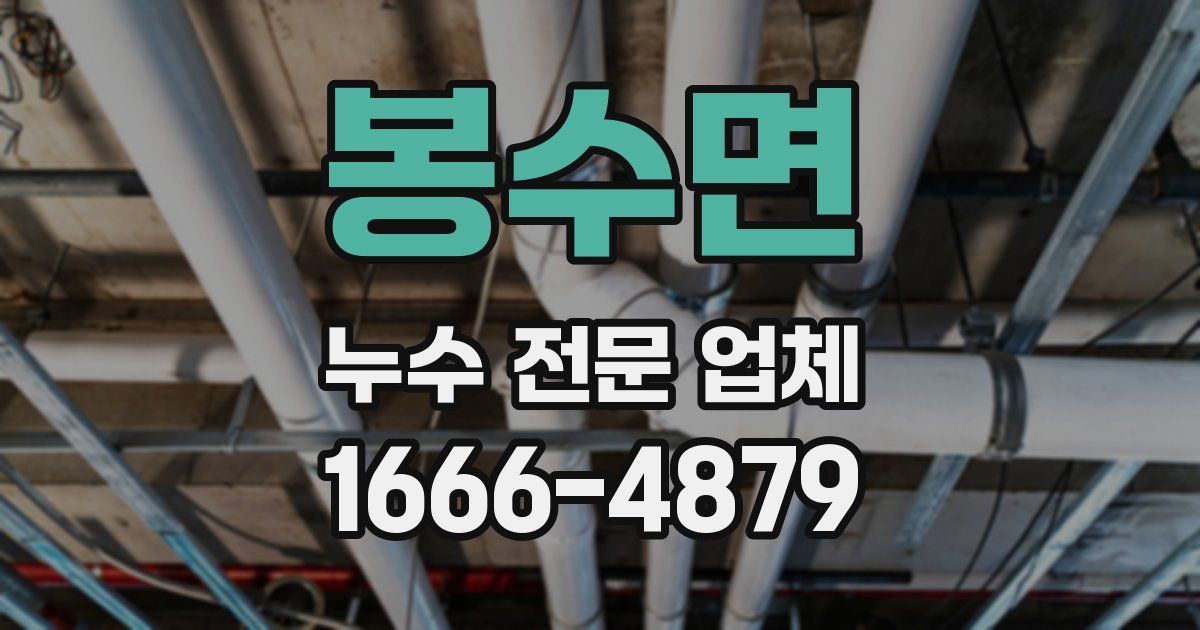 봉수면 누수 전문 업체