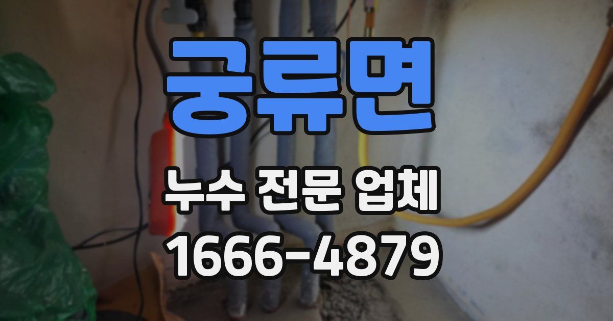 궁류면 누수 전문 업체