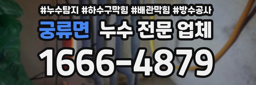 궁류면 누수 전문 업체