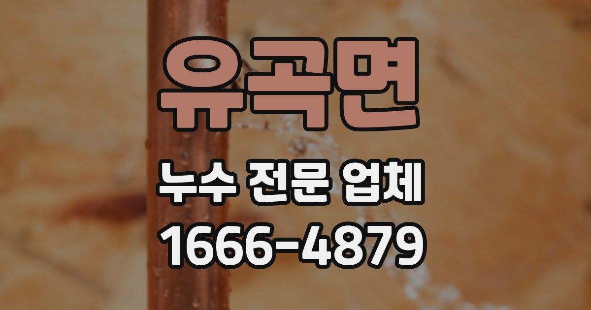 유곡면 누수 전문 업체