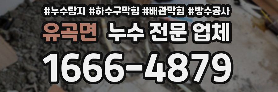 유곡면 누수 전문 업체
