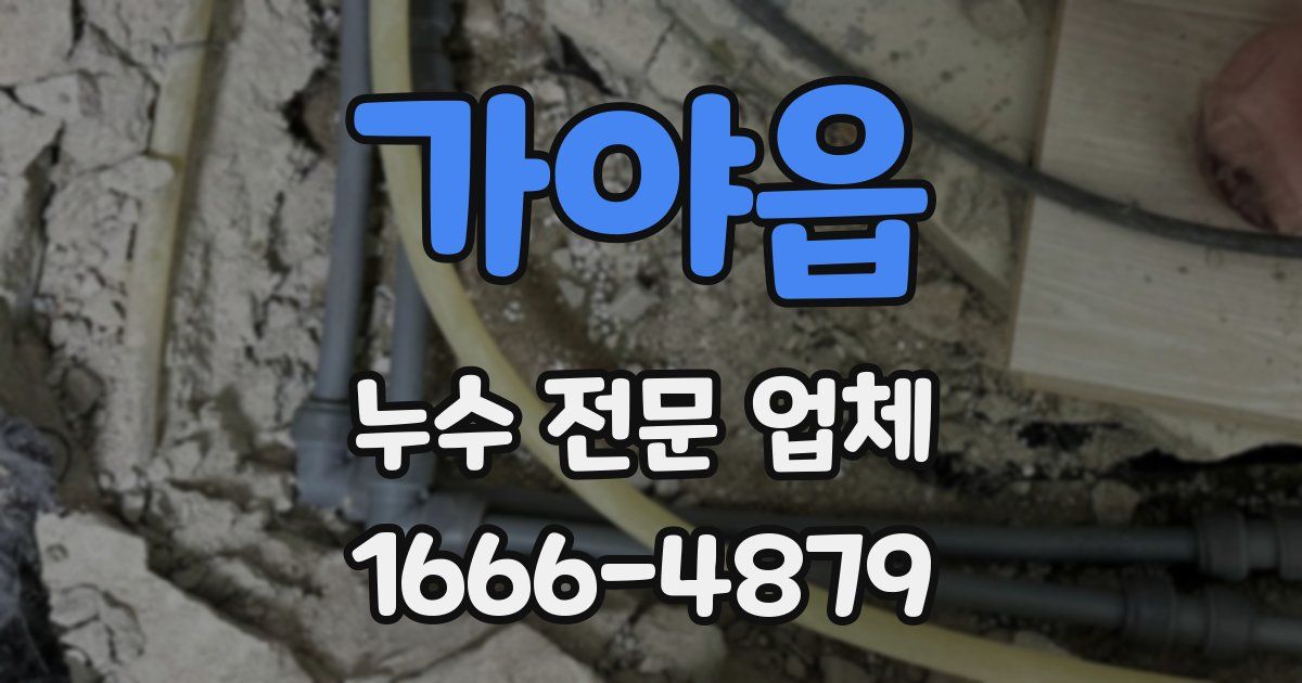 가야읍 누수 전문 업체